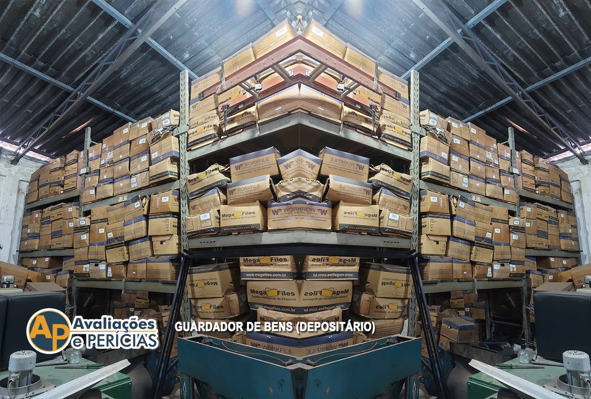 Guardador de Bens (Depositário)